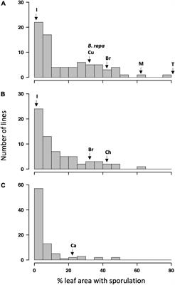 Quantitative Trait Locus Mapping for Resistance Against Pyrenopeziza brassicae Derived From a Brassica napus Secondary Gene Pool